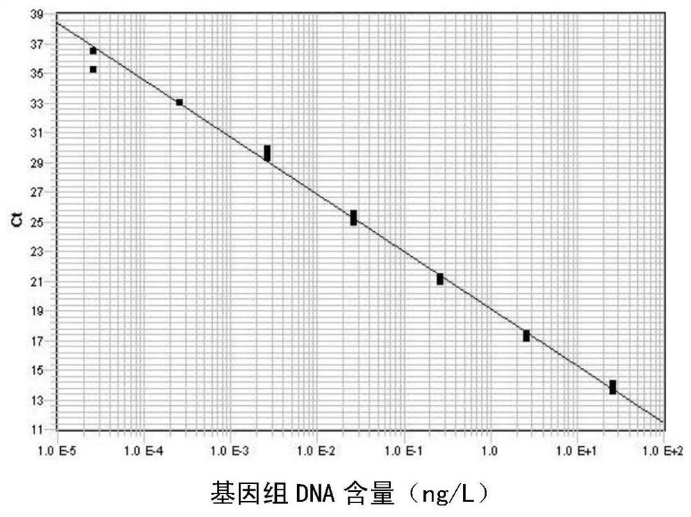 Real-time fluorescent PCR detection method and special kit of reagents for rhododendron fusarium wilt