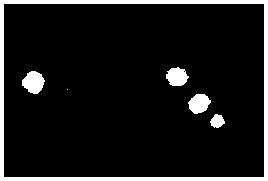 A strain of Bacillus pumilus s9 for controlling rice blast