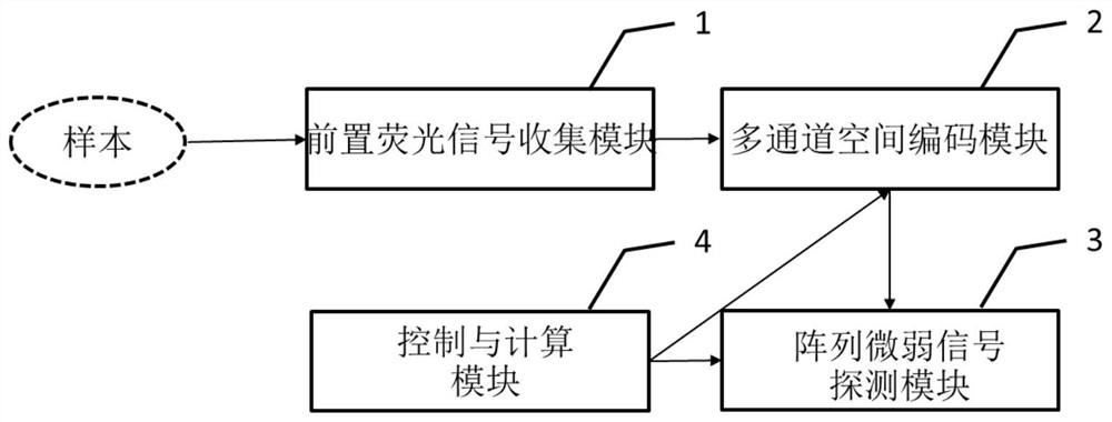 High-sensitivity weak fluorescence signal detection system and method, storage medium and application