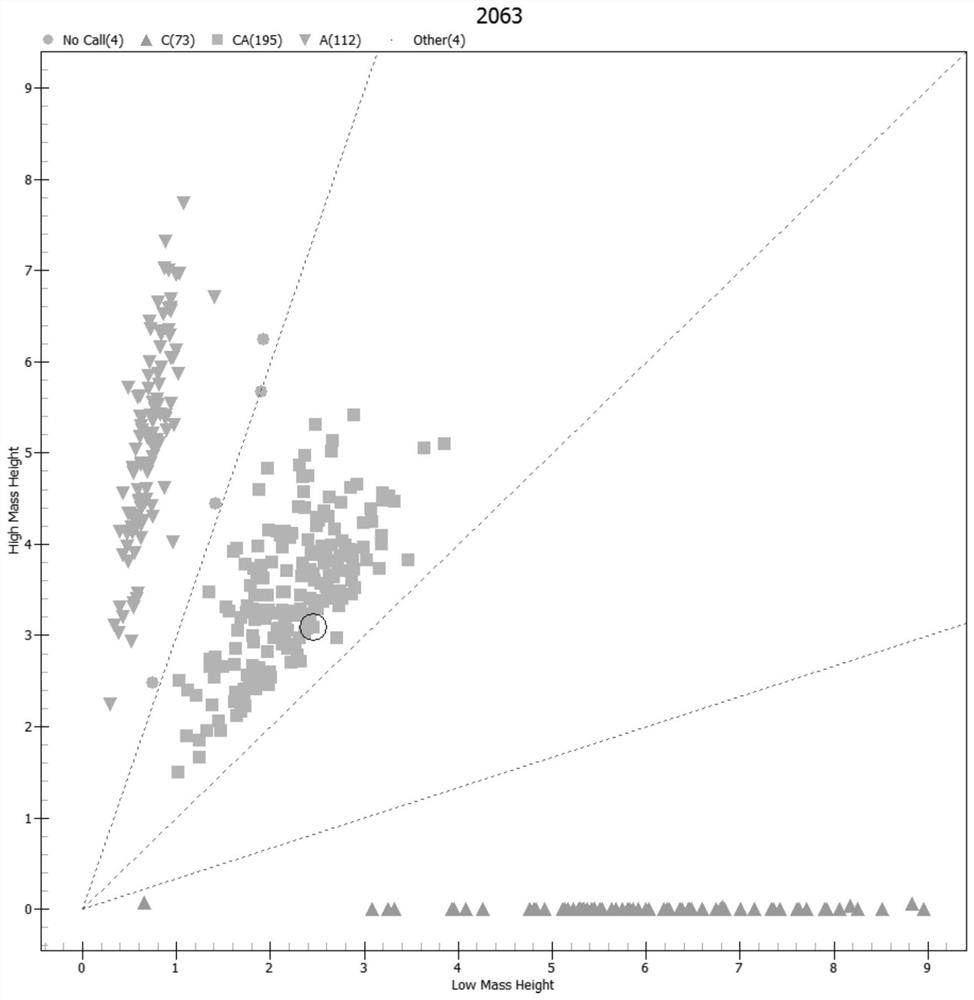 Molecular marker related to excellent lactation character of Mediterranean buffalo and application