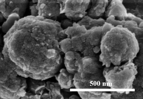 Sodium salt-blast furnace dust catalyst and method for preparing biodiesel from sodium salt-blast furnace dust catalyst