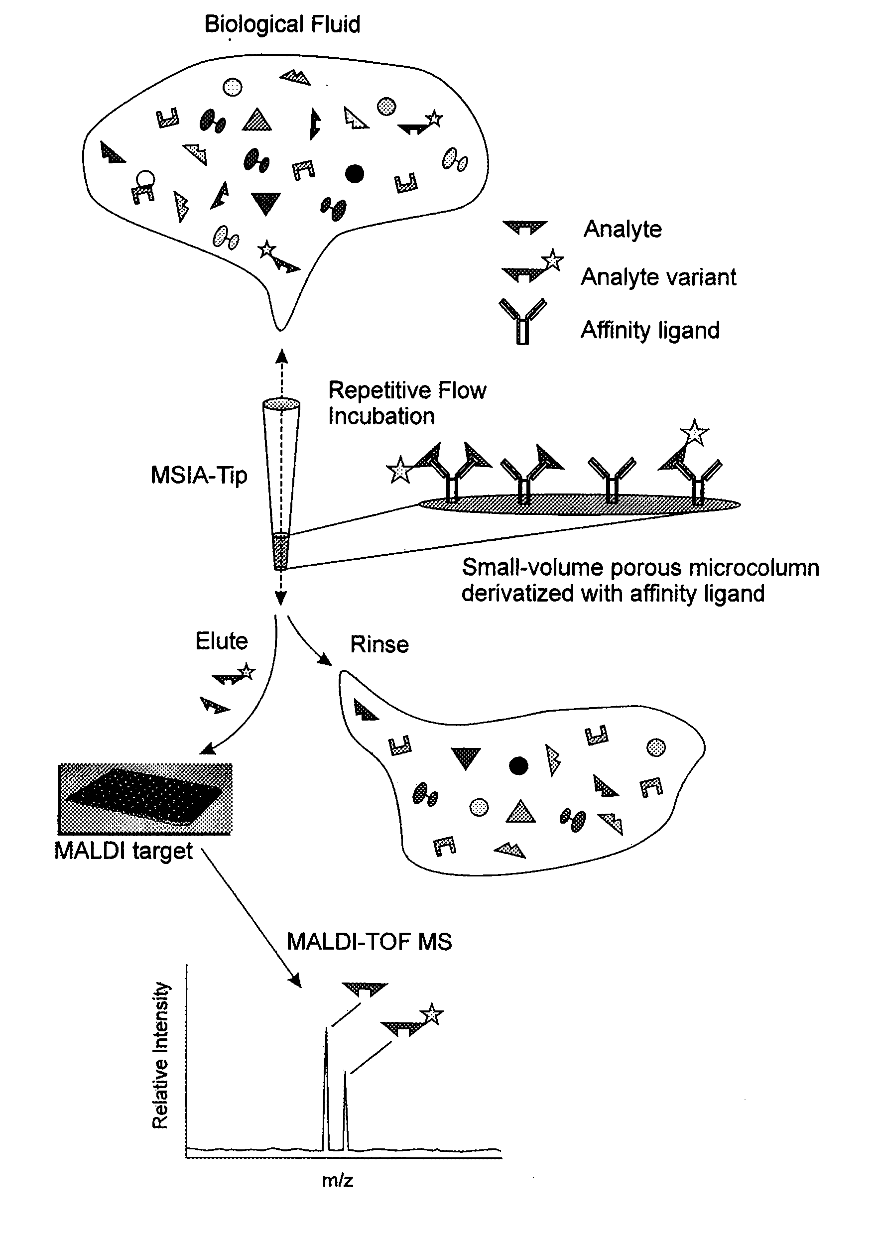 Method and apparatus for mass spectrometric immunoassay analysis of specific biological fluid proteins