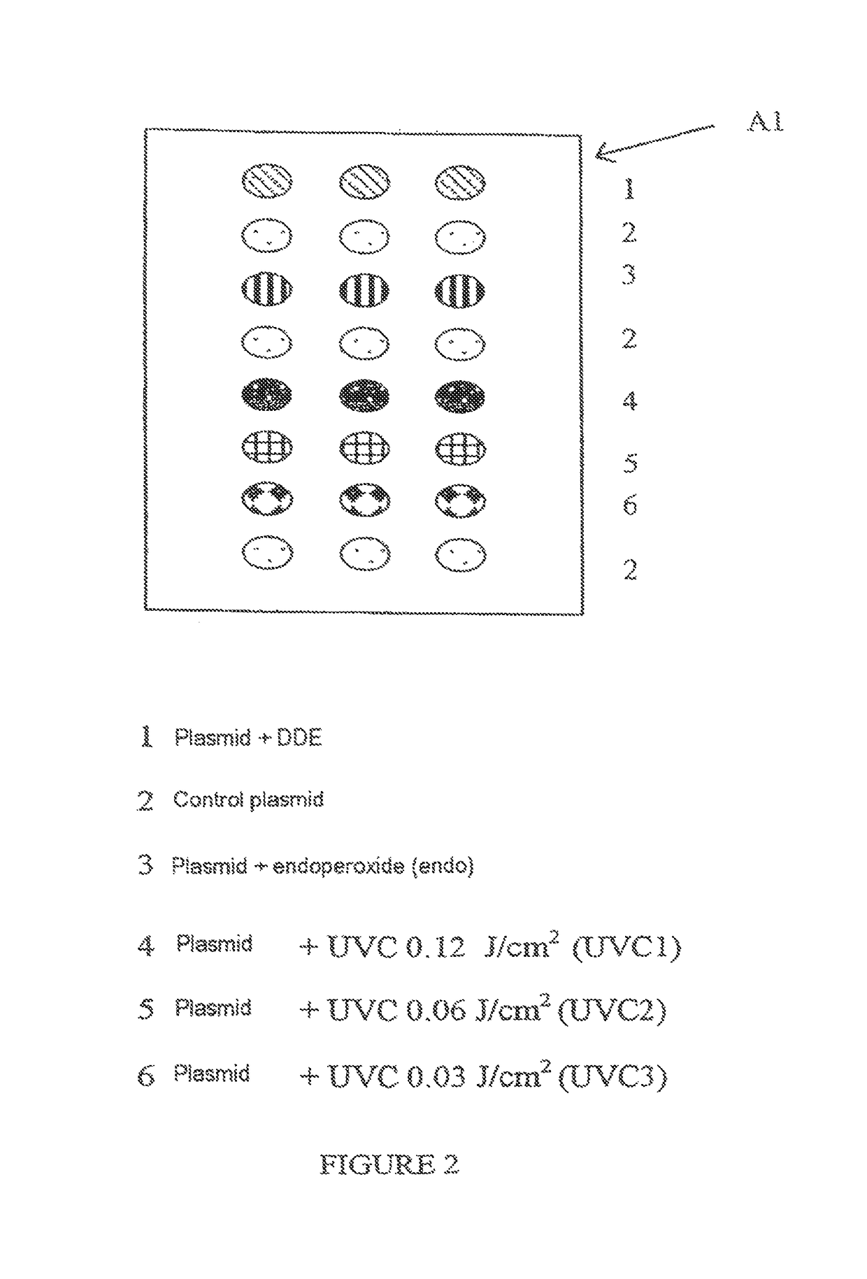 Method for the quantitative assessment of global and specific DNA repair capacities of at least one biological medium, and the applications therefor