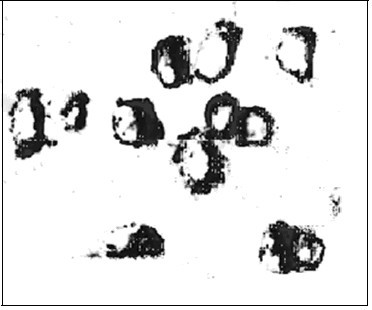 Carboxylation beta-cyclodextrin modified low-toxicity functional quantum dot and preparation method thereof