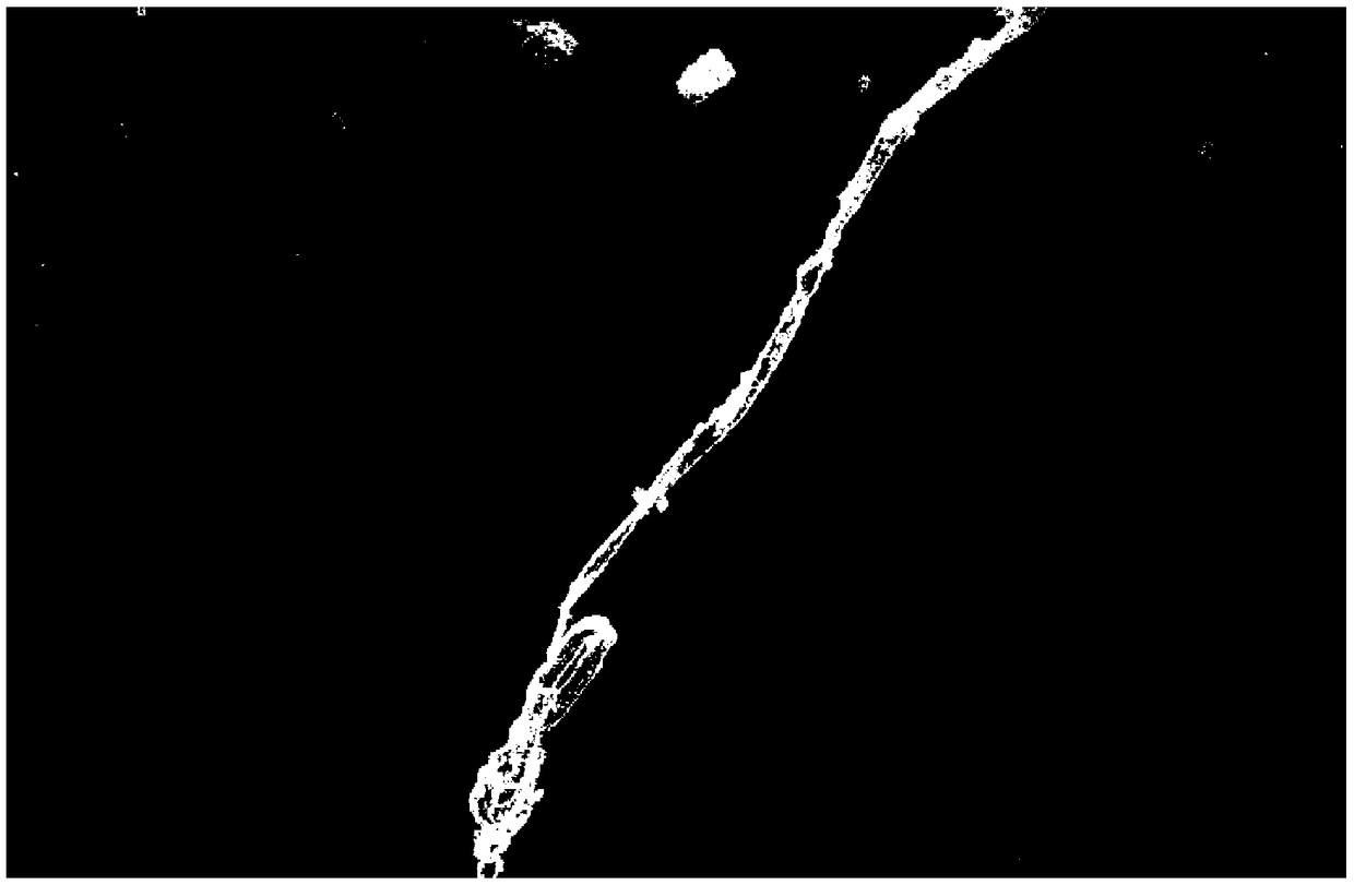 Zinc oxide-metal lithium composite negative electrode and preparation method thereof, and metal lithium secondary battery