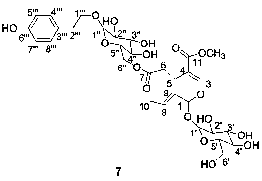 Application of iridoid in preparation of anti-osteoporosis medicines