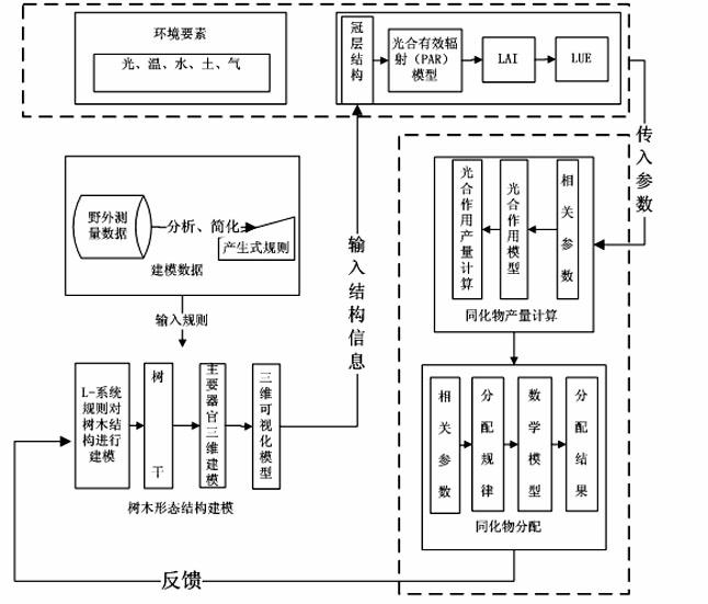 Method for estimating plant growth biomass liveweight variation based on virtual plants