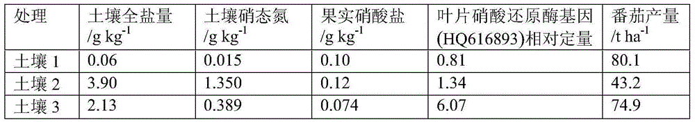 Facility secondary NO3&lt;-&gt; salinized soil improver, preparation method thereof and improving method