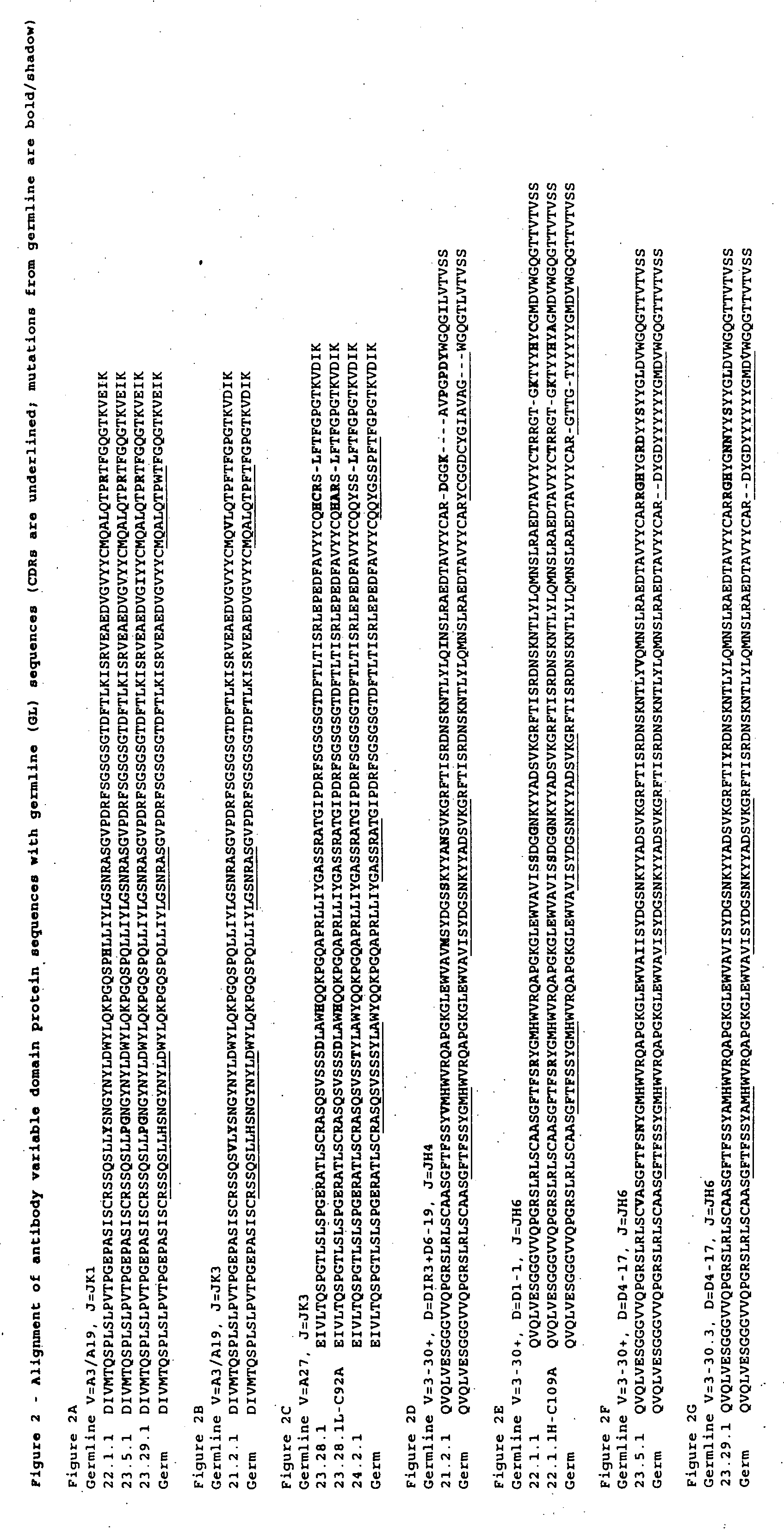 Antibodies to CD40