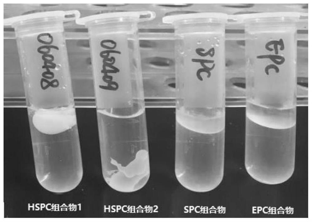 A slow-release drug delivery system