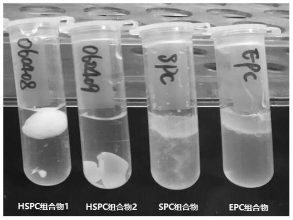 A slow-release drug delivery system