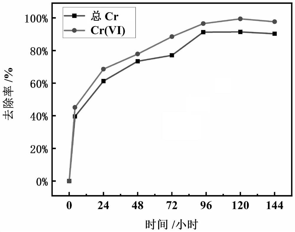 Method for treating copper-containing and chromium-containing industrial wastewater by applying bacterium detoxification effect