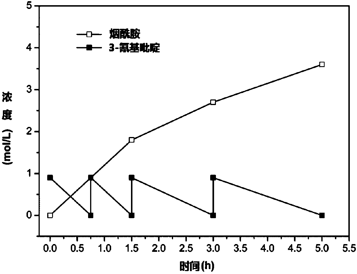 Preparation technology of niacinamide