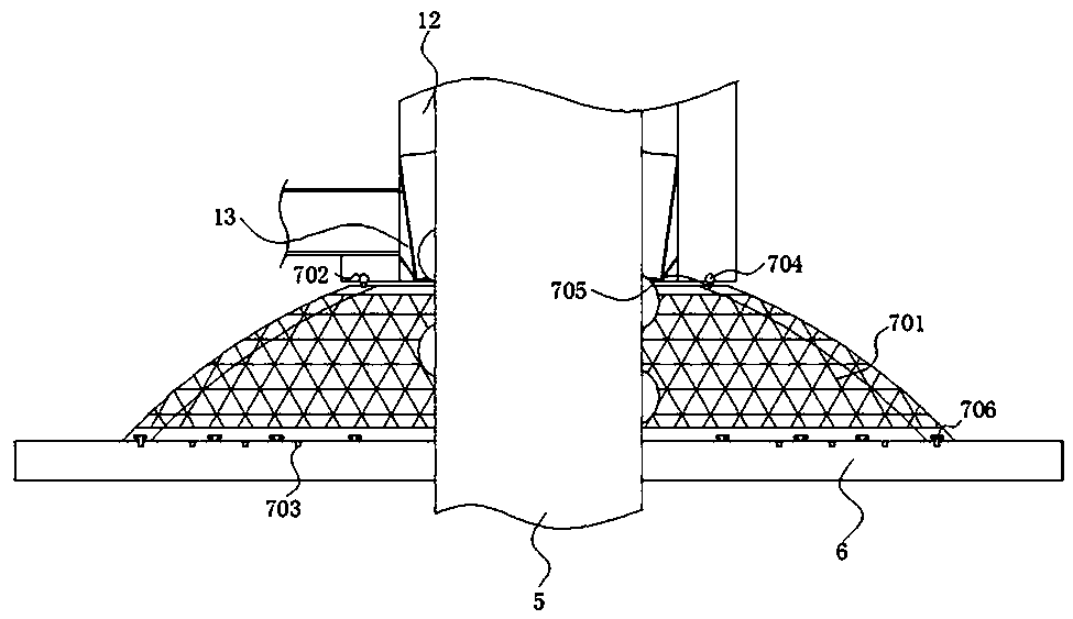 Environmental protection device for water surface moss treatment