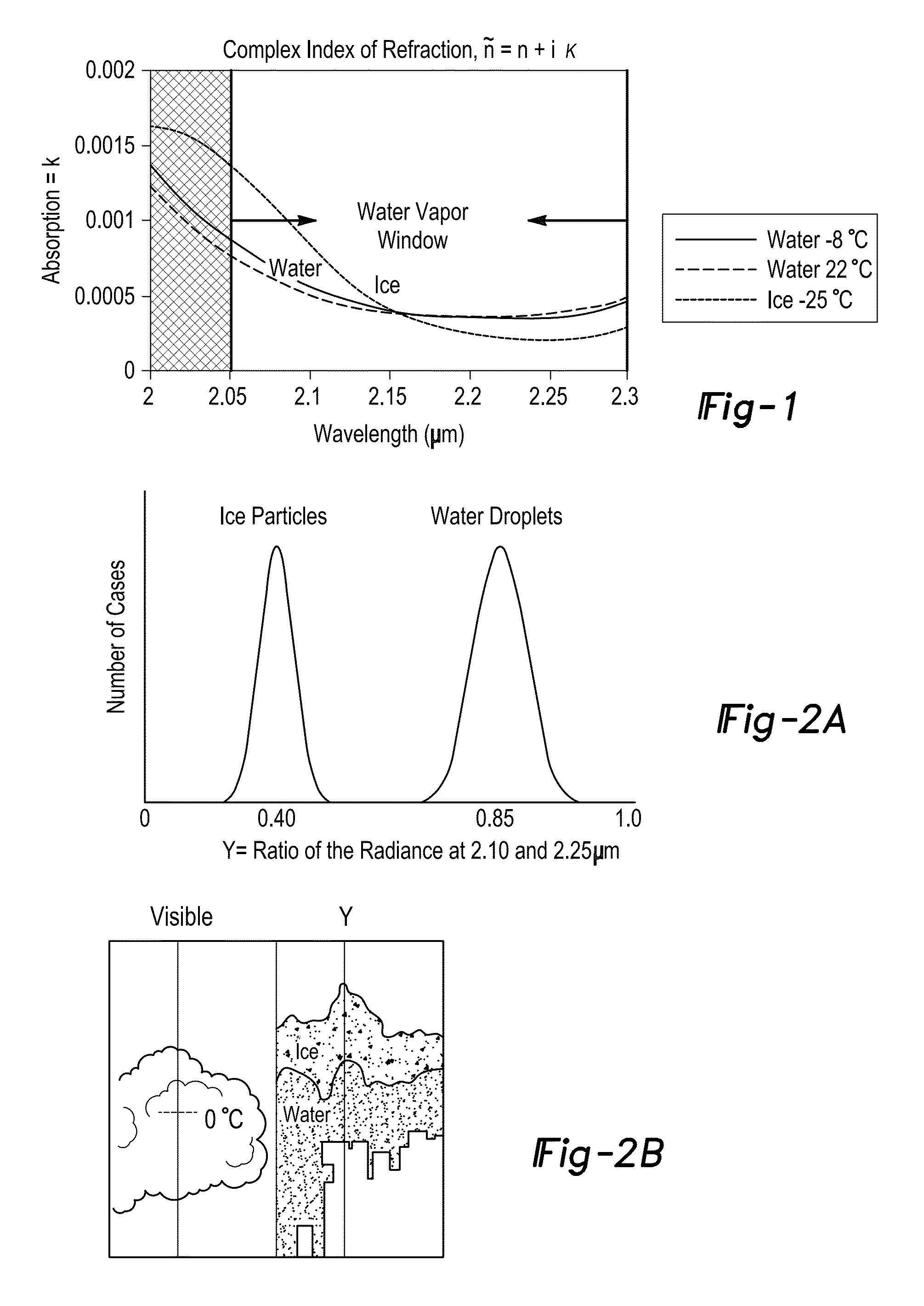 Ice and supercooled water detection system