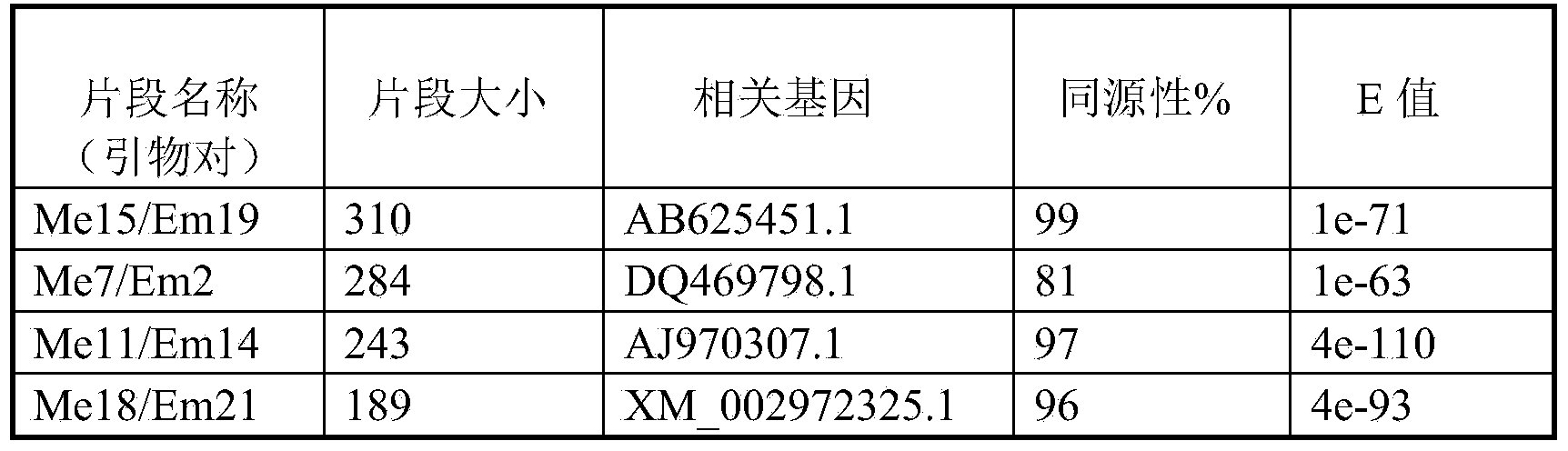 SRAP (Sequence-Related Amplified Polymorphism) molecular marking method related to color character of Ulmus pumila cv.jinye. and application thereof