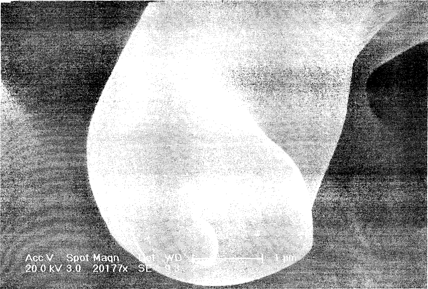 Biological absorbable polymer artificial dressing and preparation method