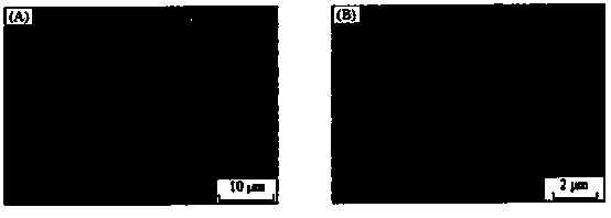 Preparation method of a PLGA [poly(lactic-co-glycolic acid)]/bioactive glass composite degradable bone nail