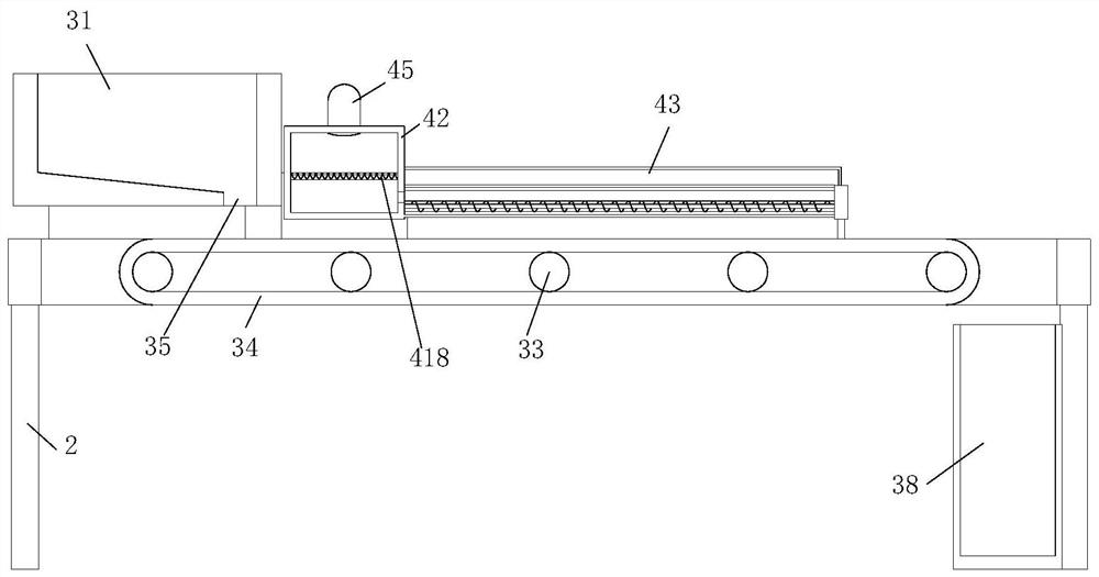 Conveying device for Chinese date processing