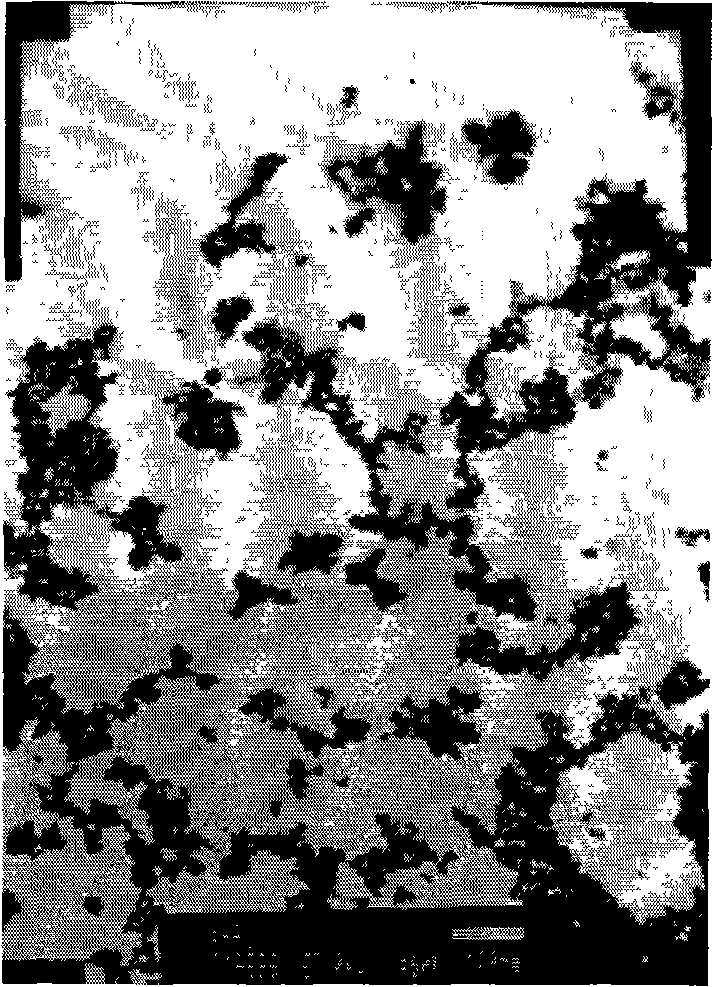 Hollow microsphere containing silicon magnetism and preparation method and use thereof