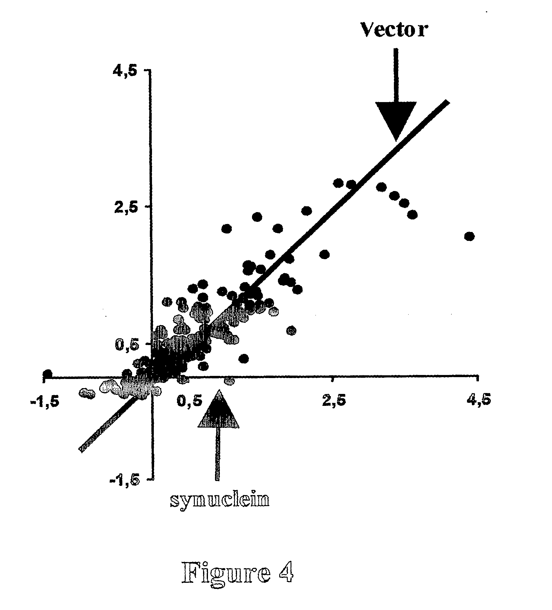 Yeast model for amyloidogenic protein toxicity