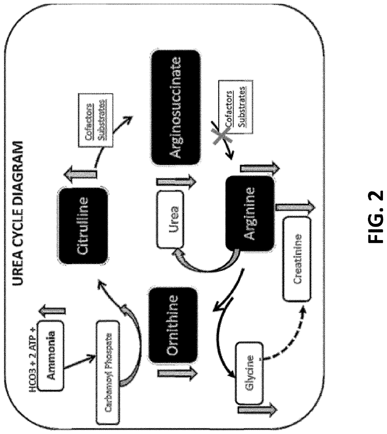 Methods for identifying and treating errors in biochemical pathways