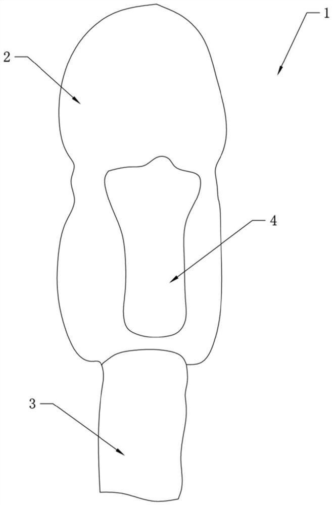 Canine bladder puncture model