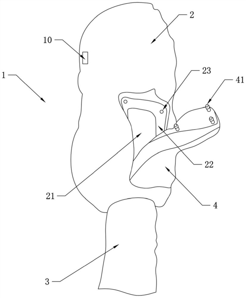 Canine bladder puncture model