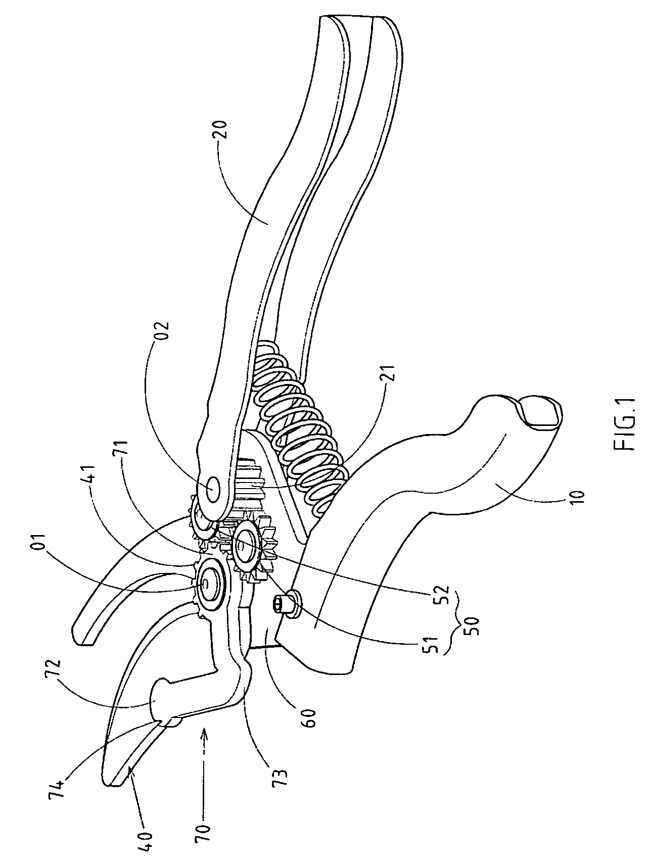 Gear-driven shears provided with a curved plate a movable jaw