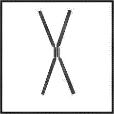 Method for preparing molecular junction by polydimethylsiloxane stencil printing