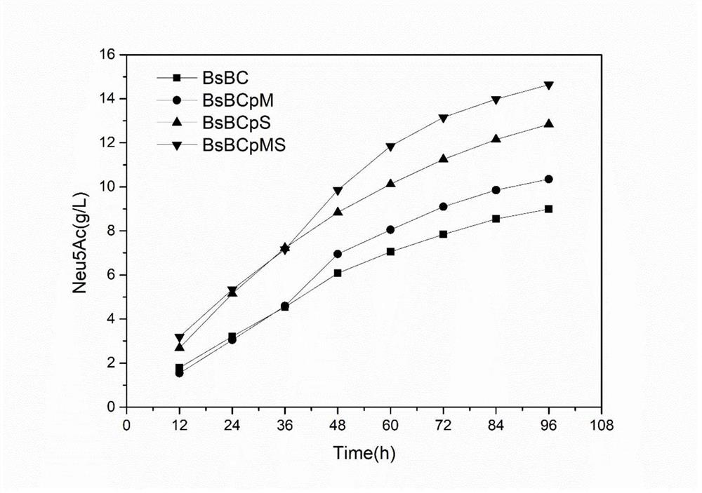 Recombinant bacillus subtilis with high yield of N-acetylneuraminic acid, and construction method and application of recombinant bacillus subtilis