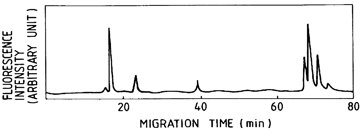 DNA detector and DNA detection method