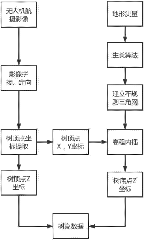 Method for quickly extracting tree heights jointly by aid of total-station instruments and unmanned aerial vehicle images