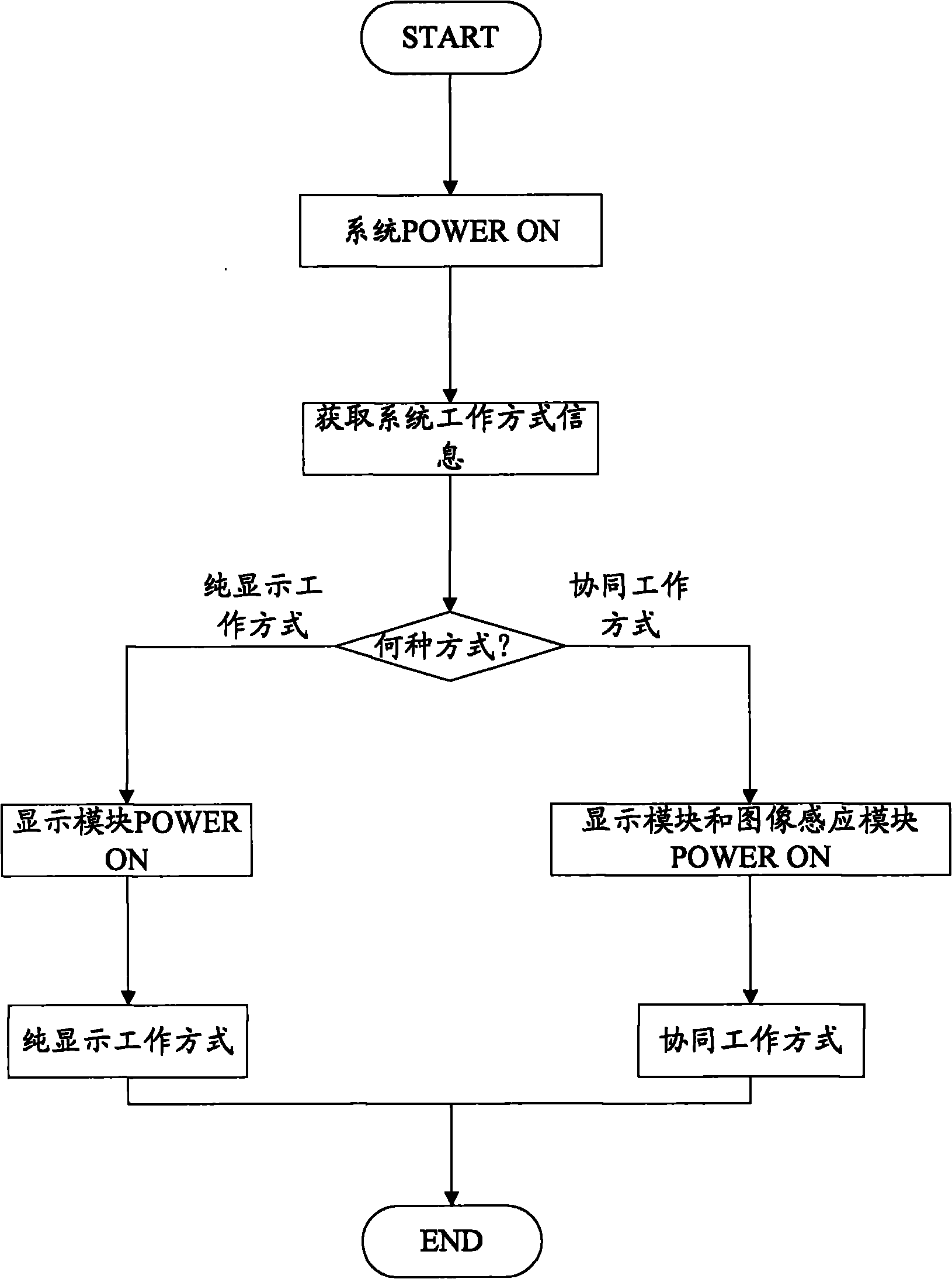 Adjustable image display and acquisition device