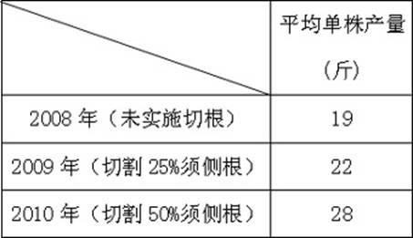 Root cutting and high-yield method for nutrition control of winter jujube tree