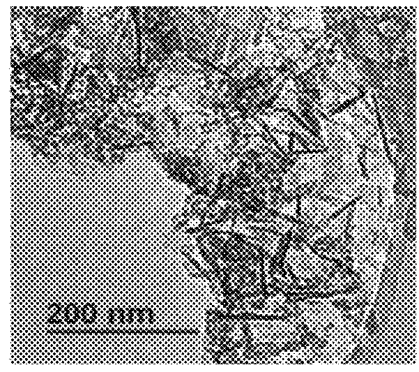 Nanoparticle doping for lasers and amplifiers operating at eye-safer wavelengths, and/or exhibiting reduced stimulated brillouin scattering