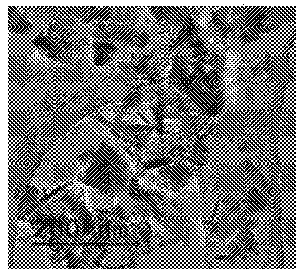 Nanoparticle doping for lasers and amplifiers operating at eye-safer wavelengths, and/or exhibiting reduced stimulated brillouin scattering