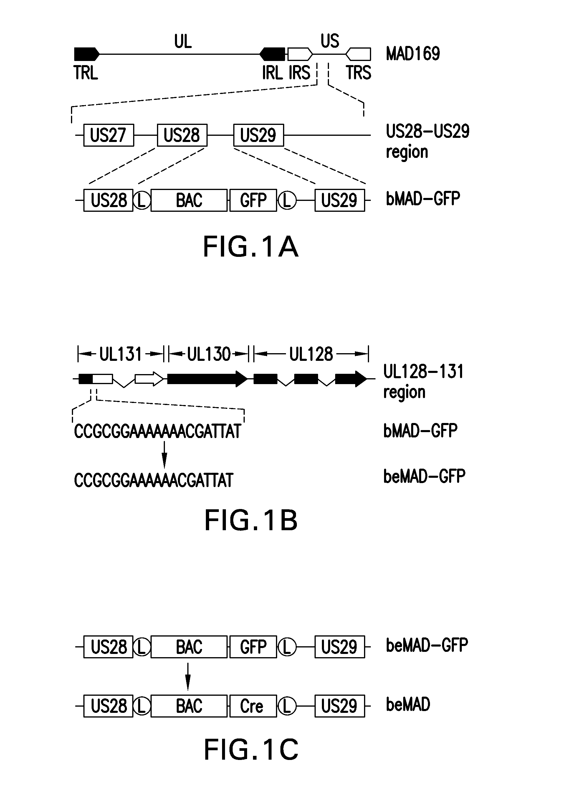 Conditional replicating viral vectors