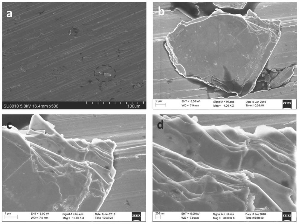 nbse  <sub>2</sub> Research method of tribological properties of single crystal as solid lubricant for electrical contact