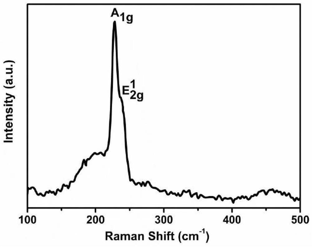 nbse  <sub>2</sub> Research method of tribological properties of single crystal as solid lubricant for electrical contact