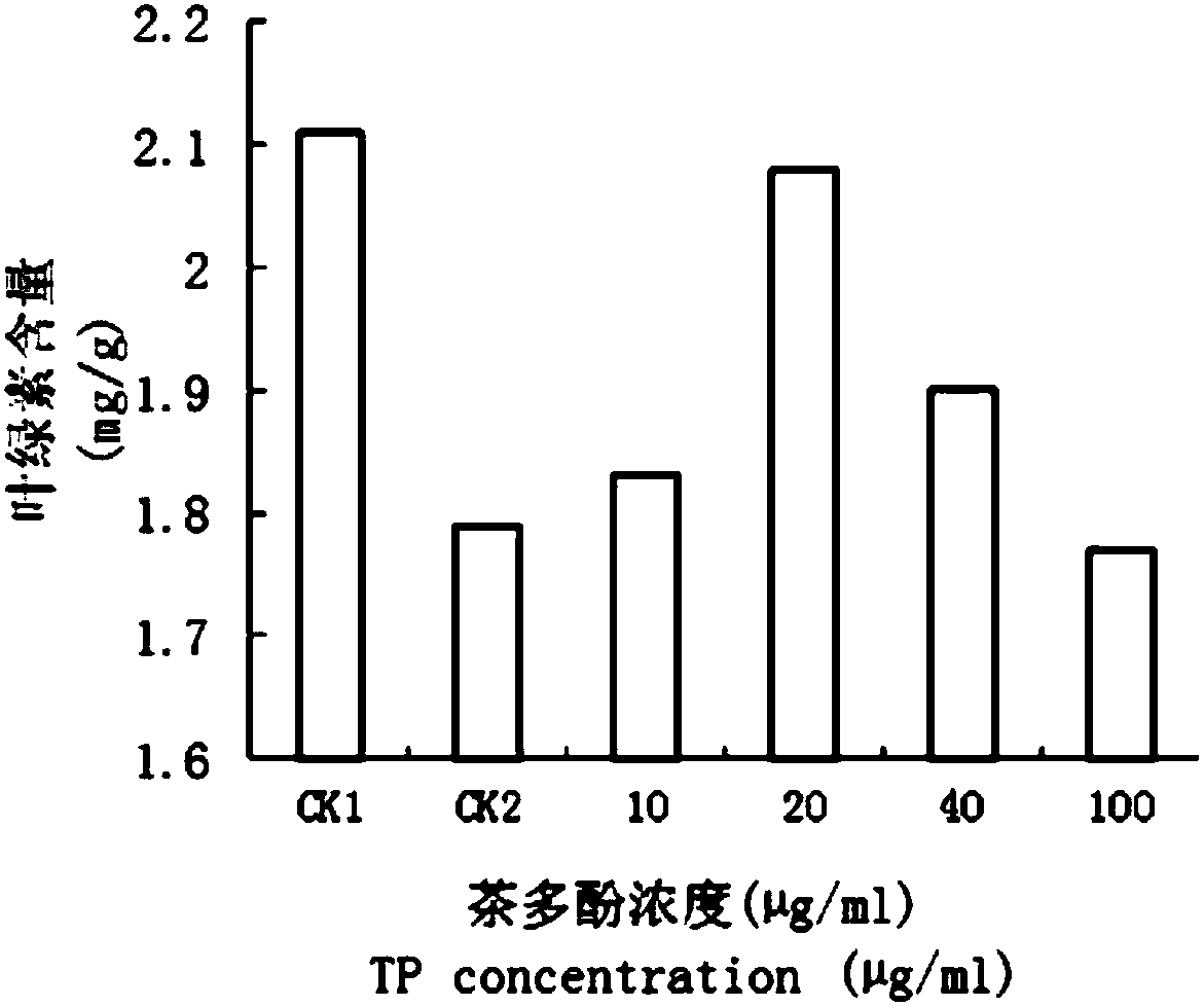 New application of tea polyphenols inducing salt resistance of wheat seedlings, seed soaking solution, and salt resistance methods