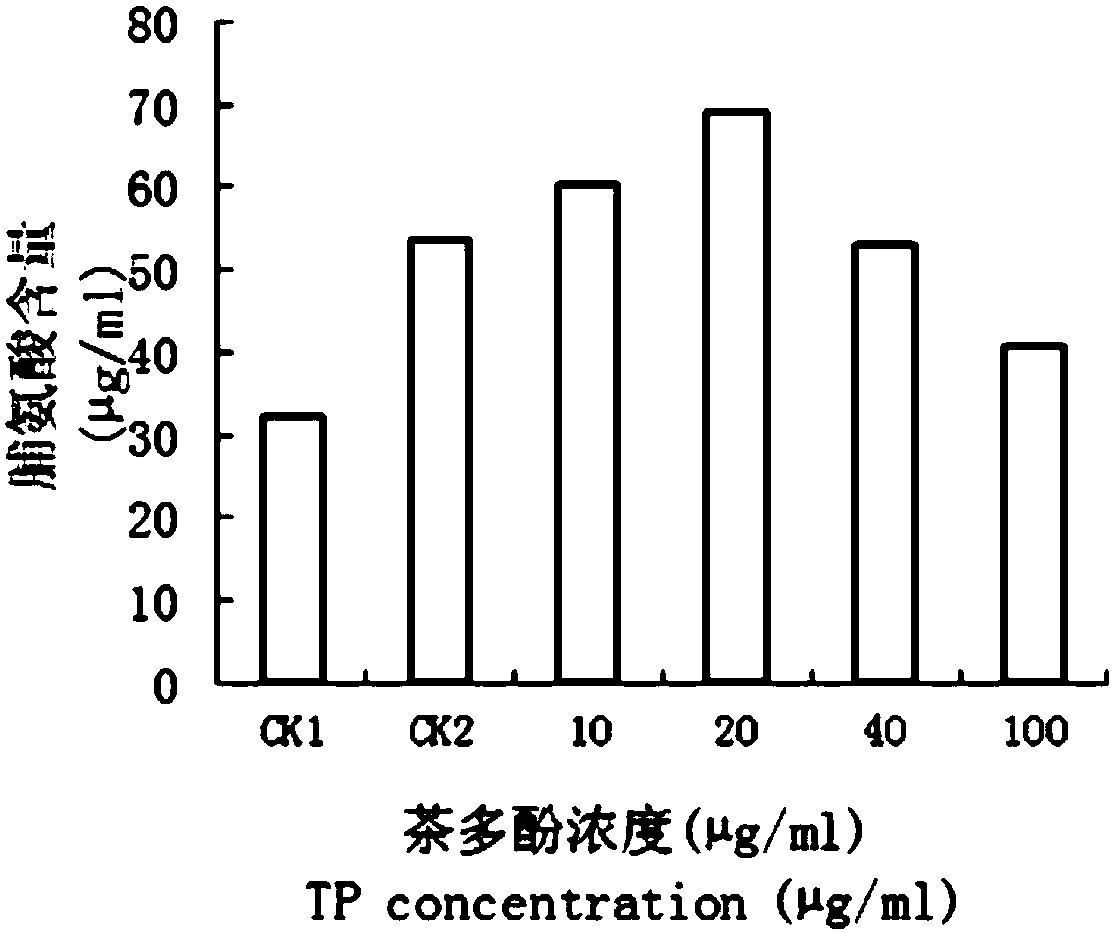 New application of tea polyphenols inducing salt resistance of wheat seedlings, seed soaking solution, and salt resistance methods