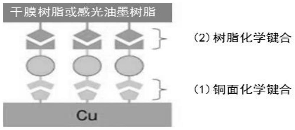 Copper surface adhesion modifier, preparation method and application thereof