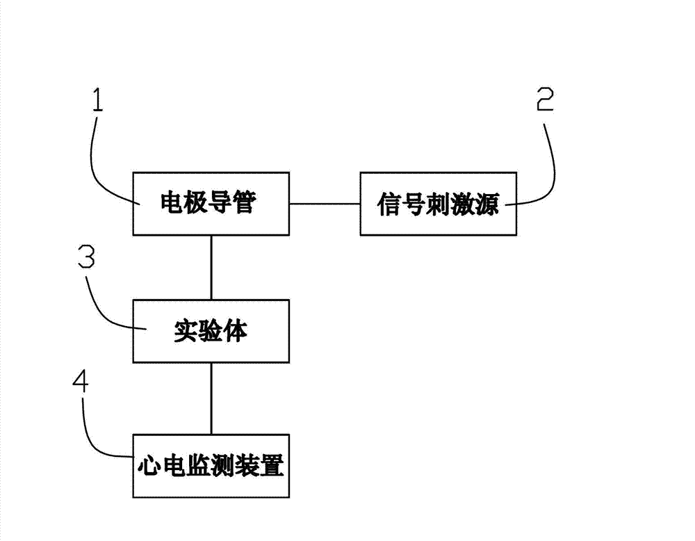 Device and method of fabricating ventricular tachycardia (VT) model and atrial tachycardia (AT) model