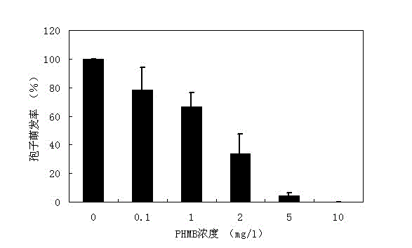 Application of polyhexamethylene guanidine in citrus sour rot prevention and treatment, and citrus antistaling agent containing polyhexamethylene guanidine