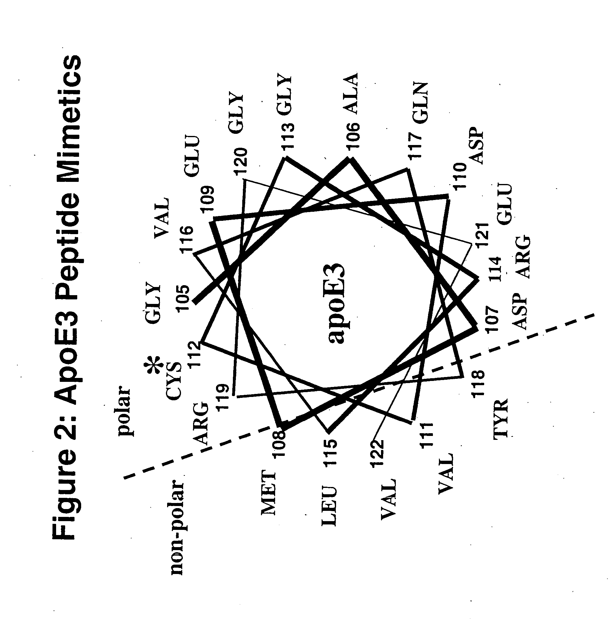 Cysteine-containing peptides having antioxidant properties