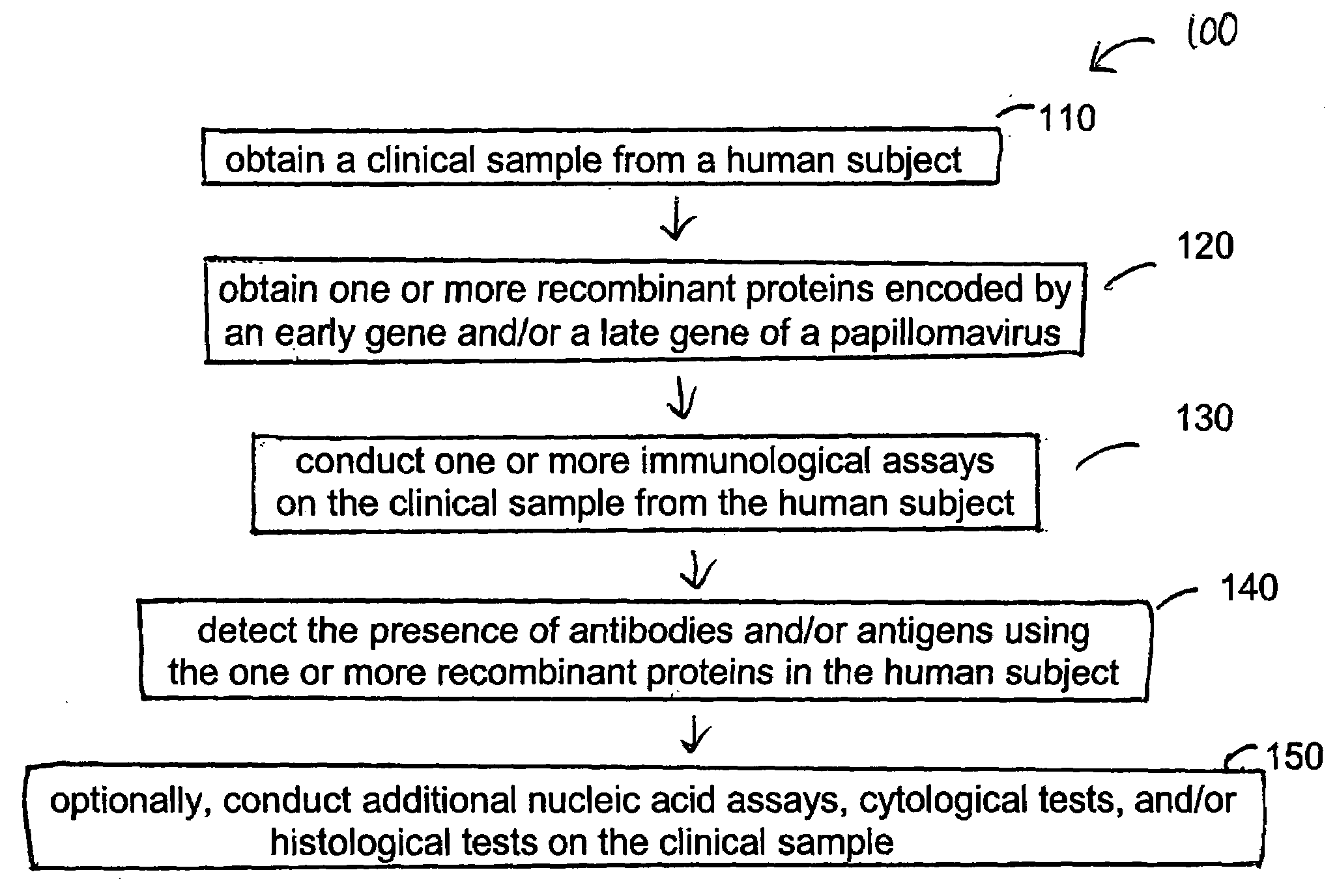 Detection method for human pappilomavirus (HPV) and its application in cervical cancer