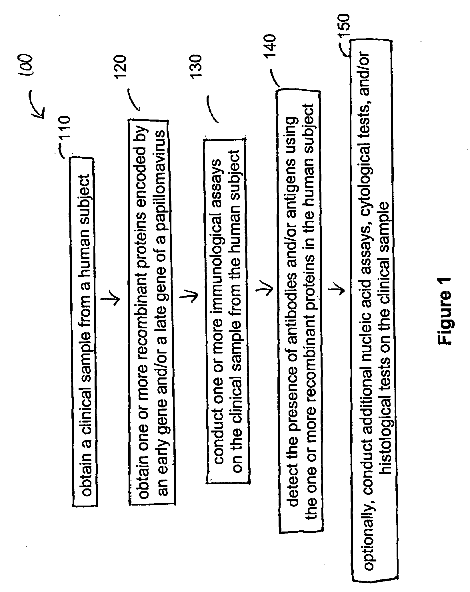 Detection method for human pappilomavirus (HPV) and its application in cervical cancer