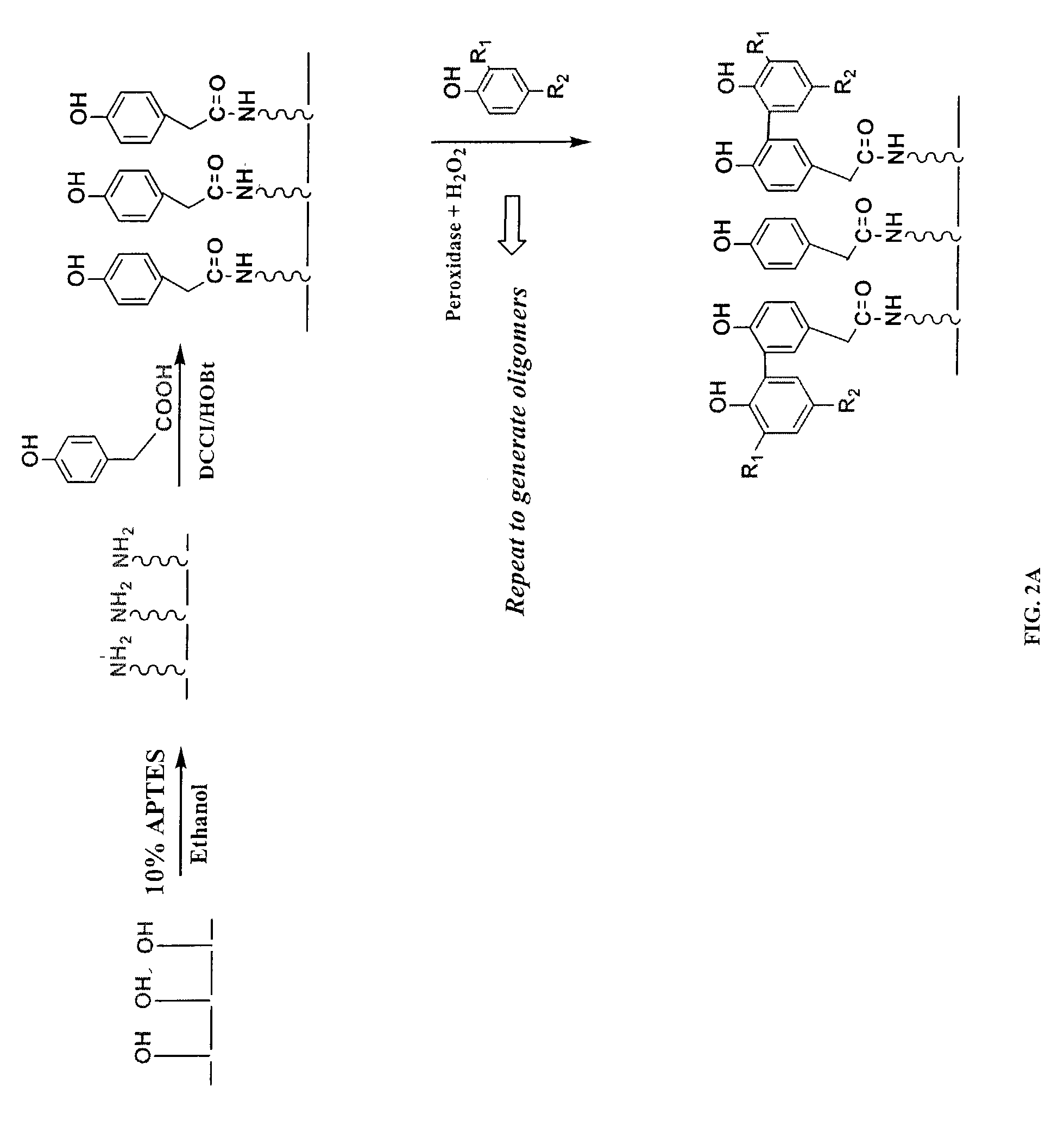 Solid-phase array-based biocatalytic transformations