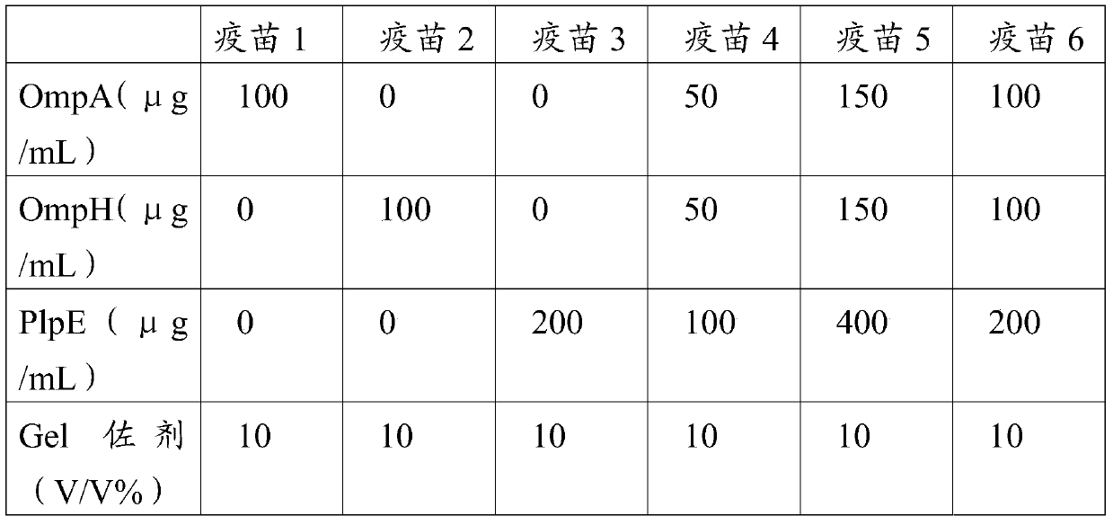 Subunit vaccine, and preparation method and application thereof